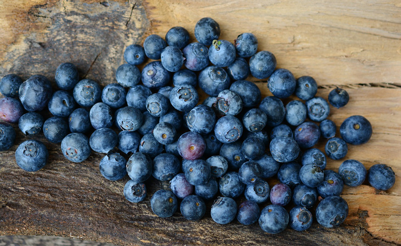 Teeth White Tips Blueberry Berries