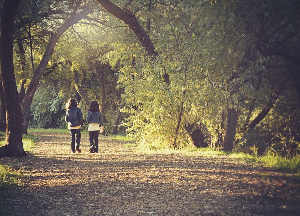 Nature Trail on Wimbledon Common