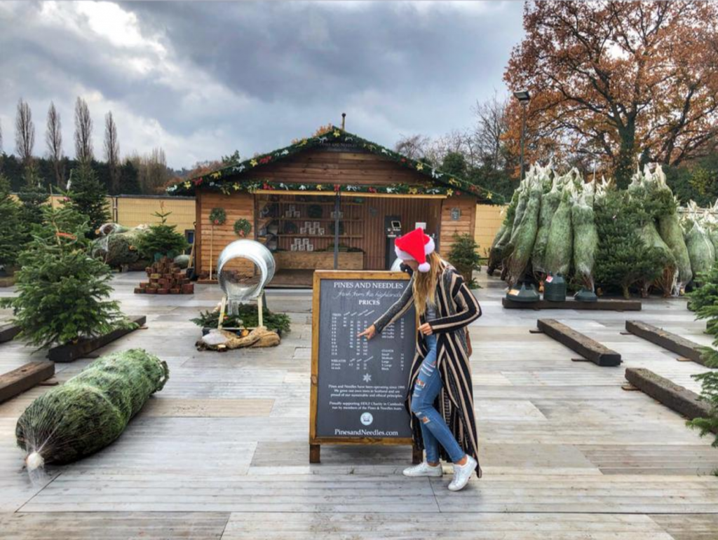 Best Christmas Trees In Wimbledon — Lady Wimbledon